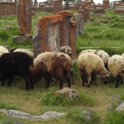 Virtuelles Hausrecht