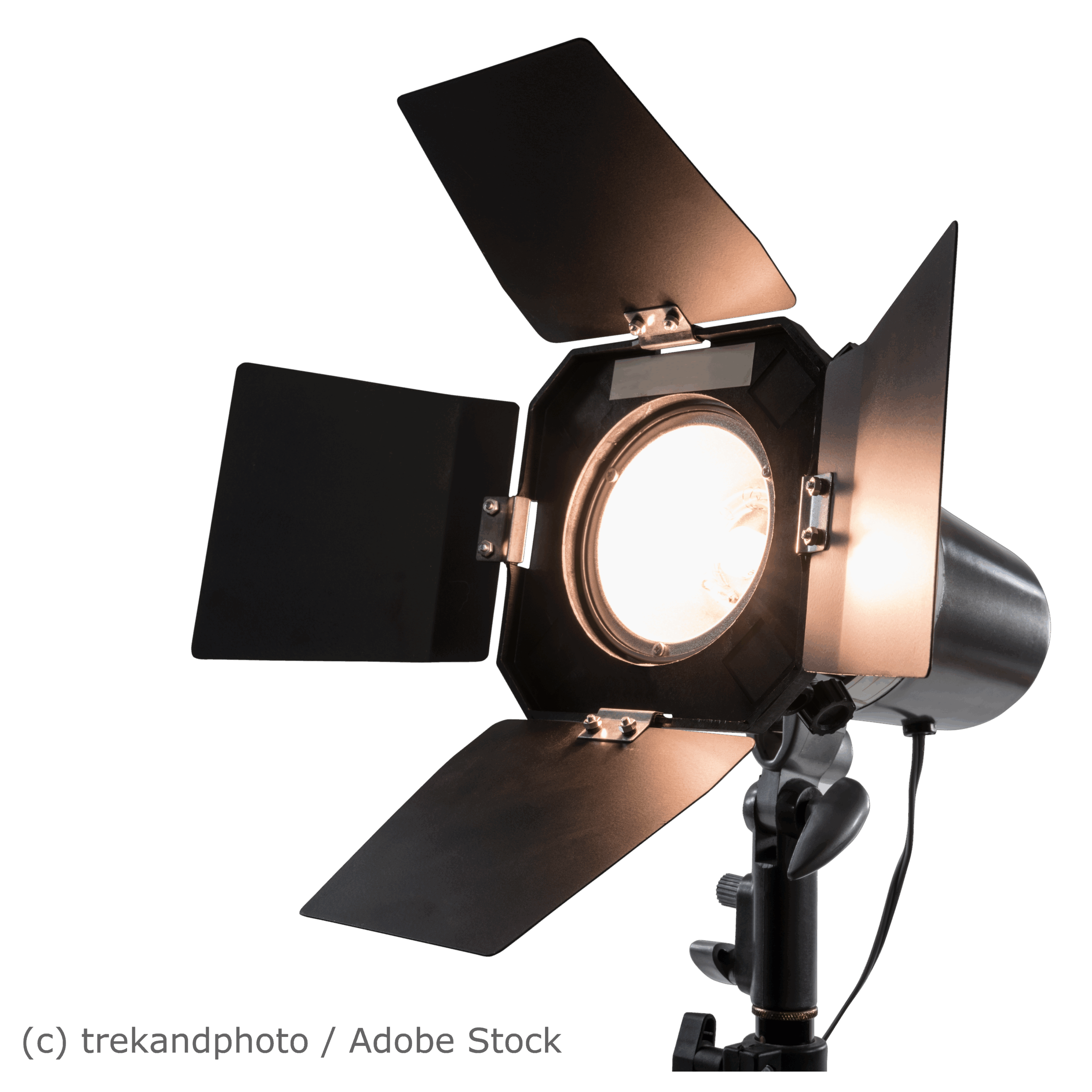 Fachbeiträge Sportlights von Bettina Vier - Digitalisierung + E-Commerce